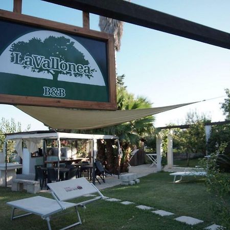 La Vallonea Casamassella Екстериор снимка