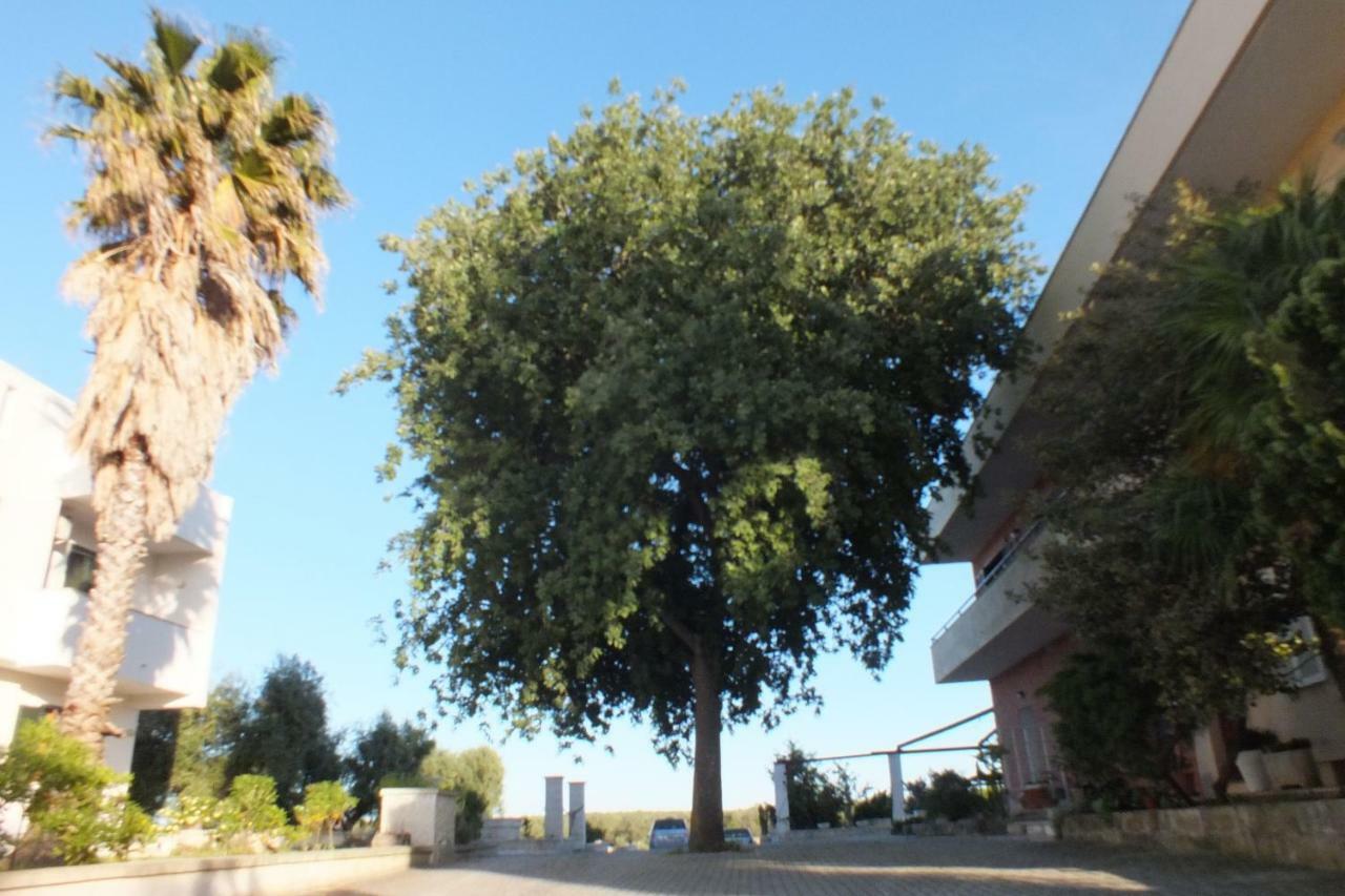 La Vallonea Casamassella Екстериор снимка