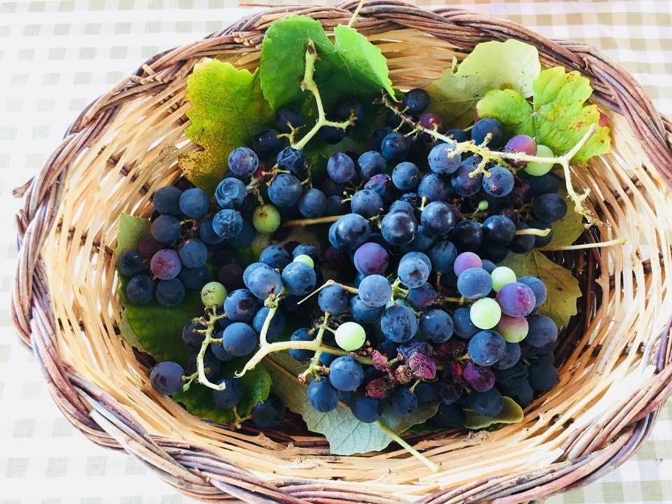 La Vallonea Casamassella Екстериор снимка